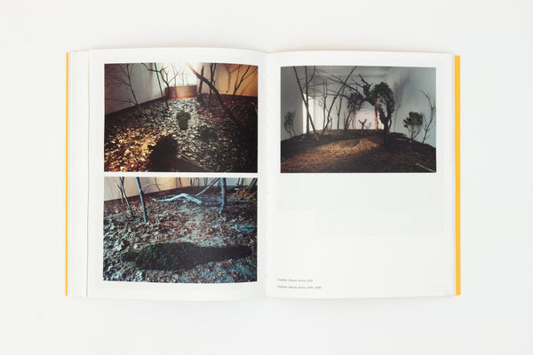 Ana Mendieta - Search for Origin