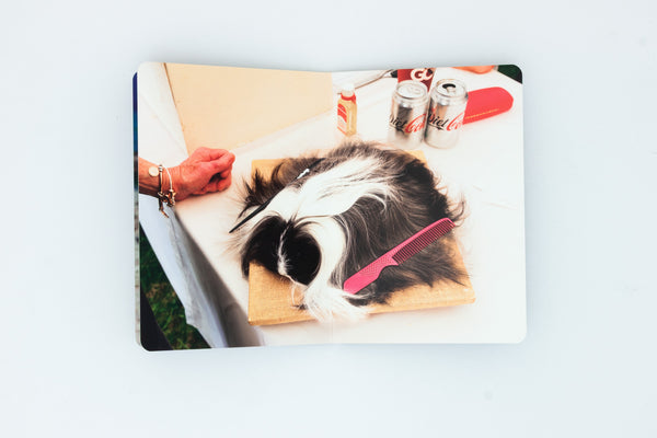 Animals - Martin Parr