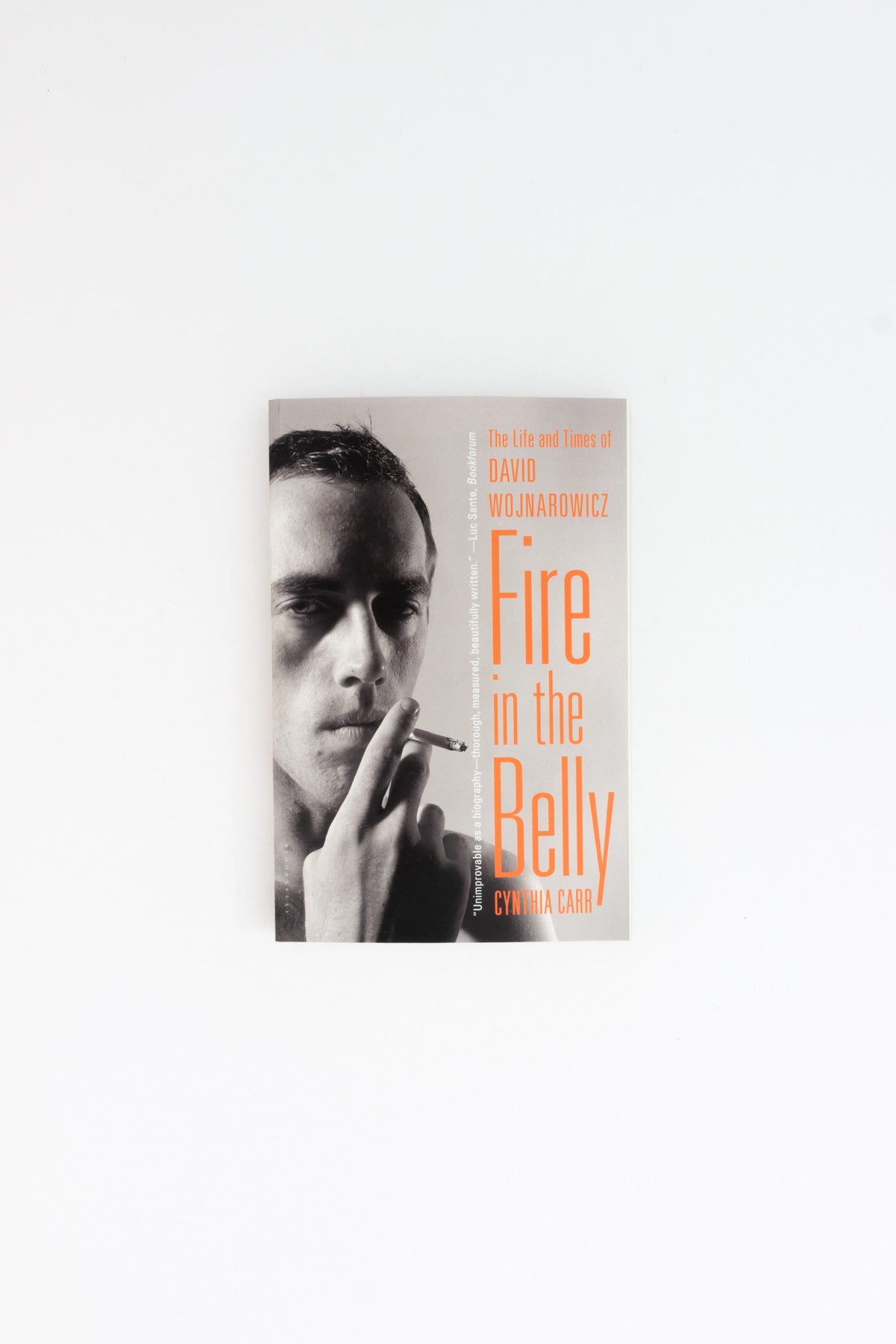 Fire in the Belly: The Life and Times of David Wojnarowicz - Cynthia Carr