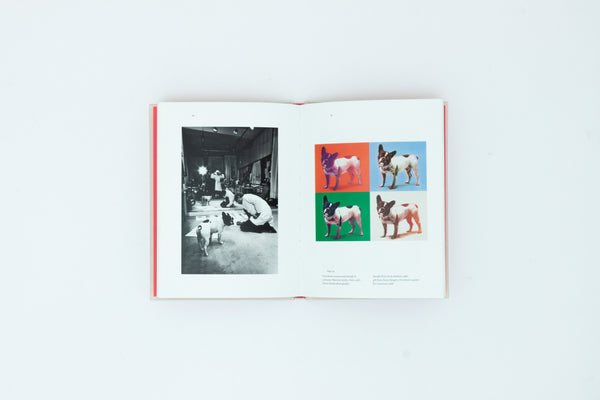 Yves Saint Laurent and his dogs - Martin Bethenod