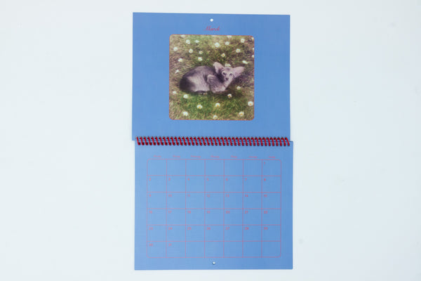 Pussycats Calendar 2026