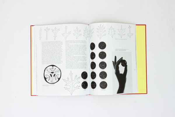 Bruno Munari