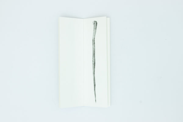 Snake Book (3rd Edition) - Chang Yuchen