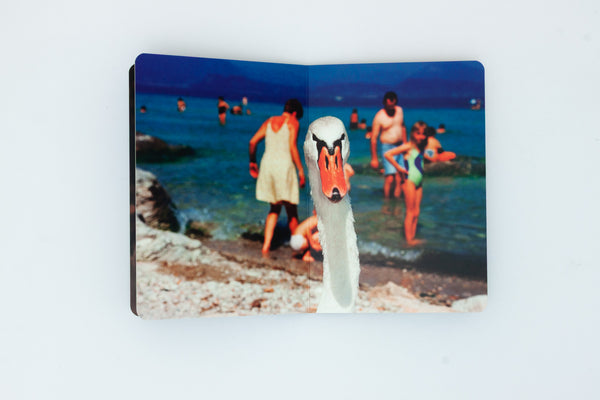 Animals - Martin Parr