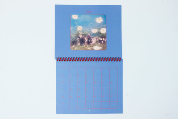 Pussycats Calendar 2026