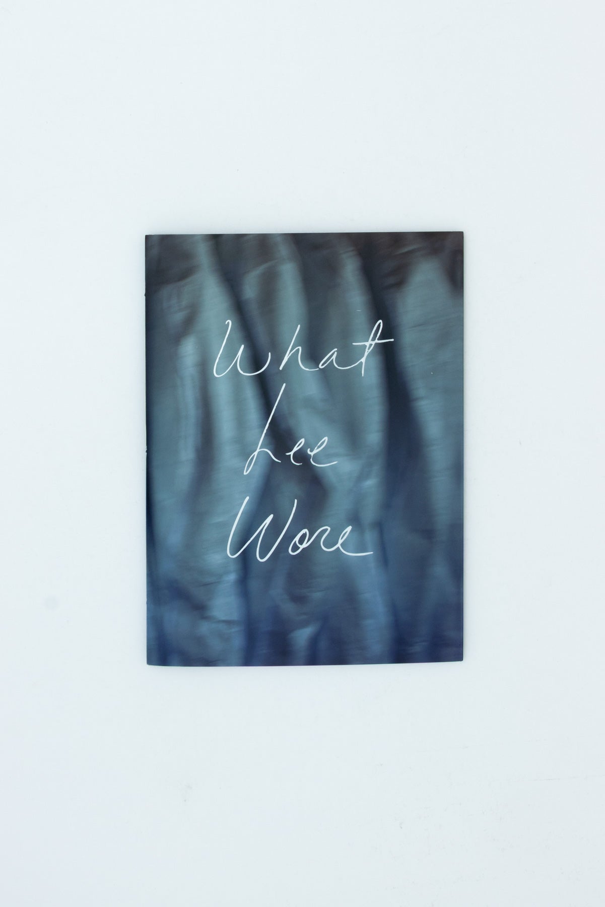 What Lee Wore - Gisela Torres