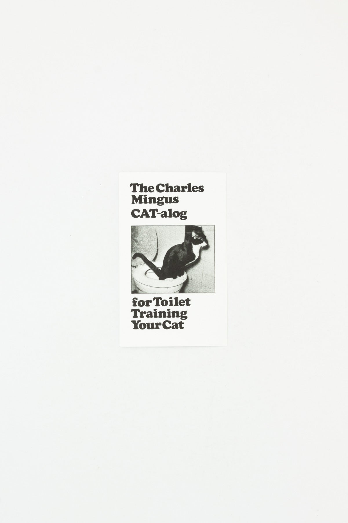 The Charles Mingus Cat-alog for Toilet Training Your Cat