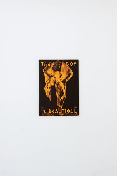 The Boy is Beautiful 3