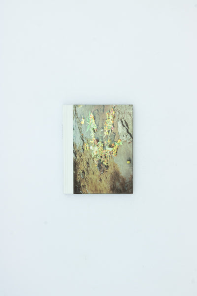 Memoire Temporelle - Kalpesh Lathigra