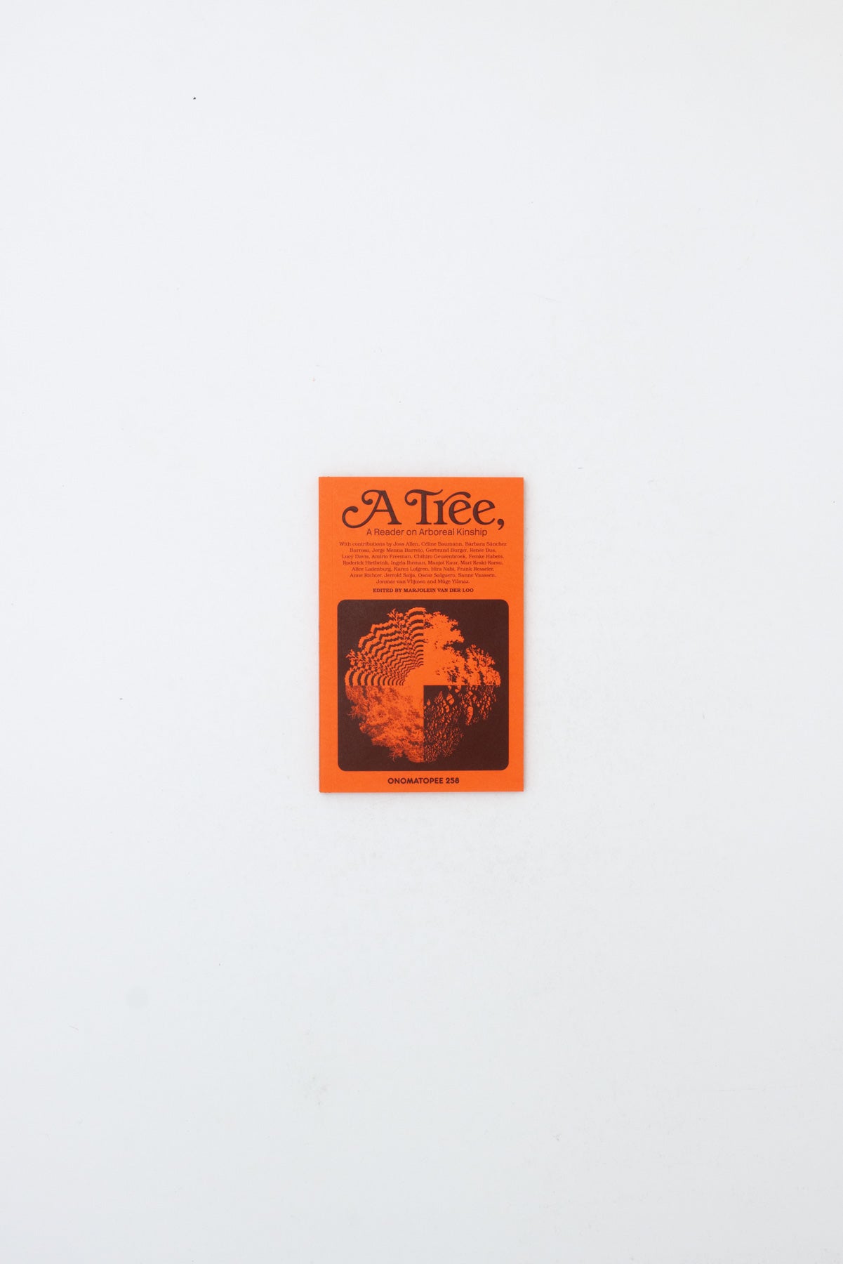 A Tree, A Reader on Arboreal Kinship - Marjolein van Der Loo