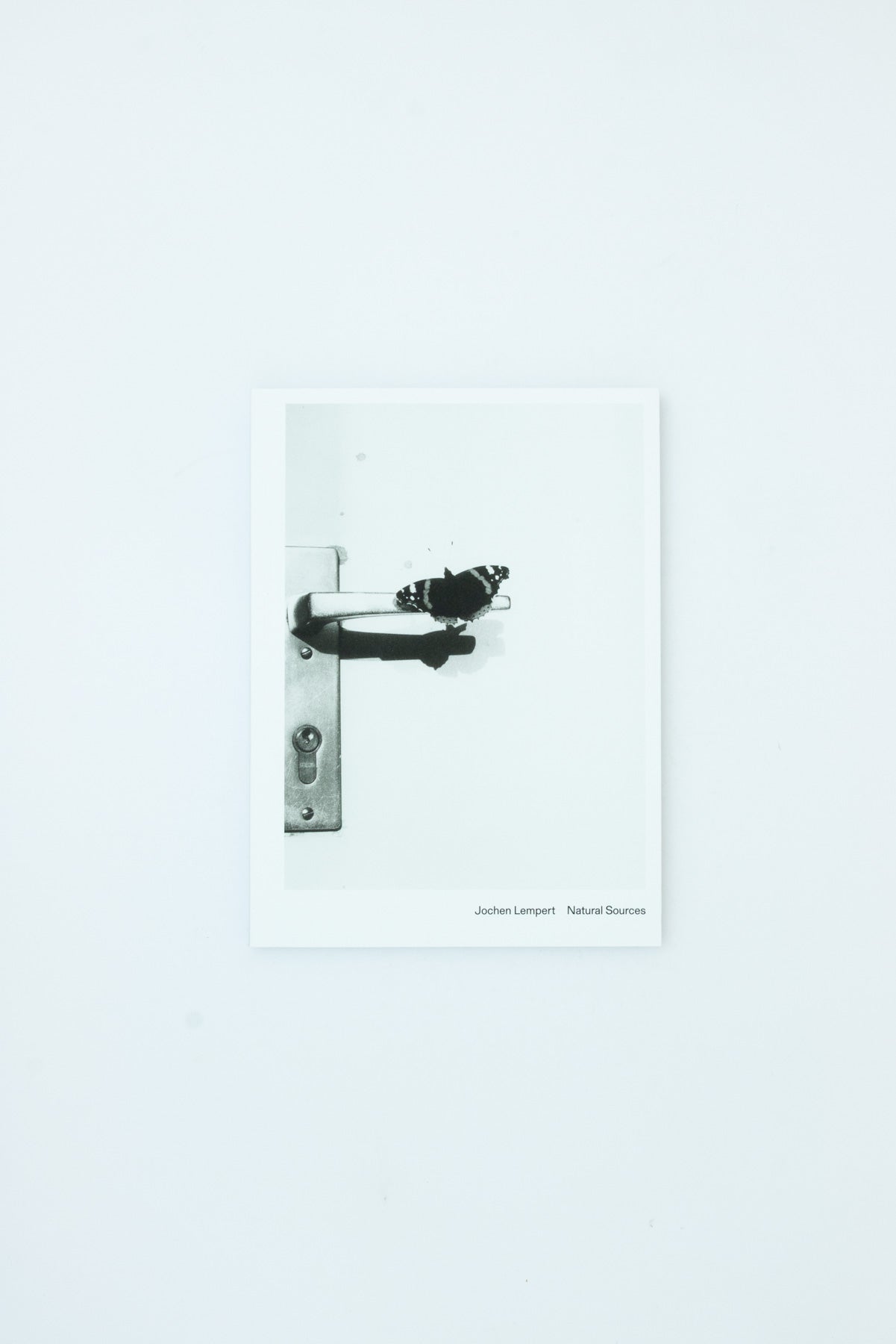 Natural Sources - Jochen Lempert