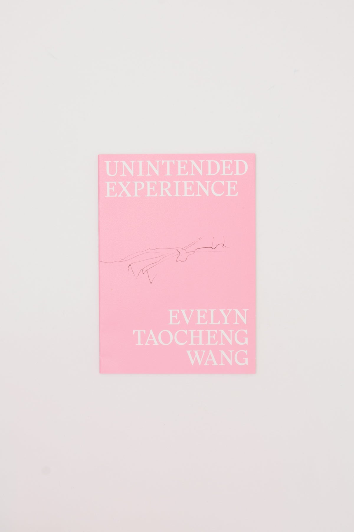 Unintended Experience - Evelyn Taocheng Wang