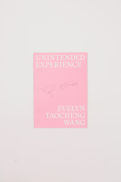 Unintended Experience - Evelyn Taocheng Wang