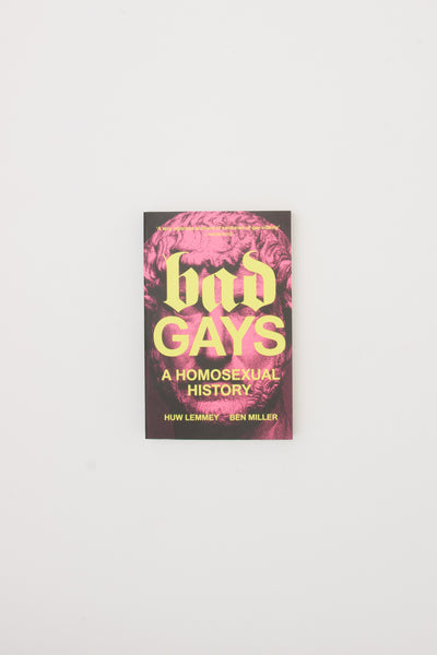 Bad Gays: A Homosexual History - Huw Lemmey & Ben Miller