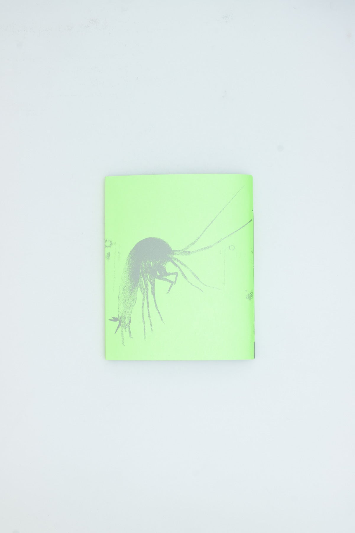 Lost Jockey - Tonje Li