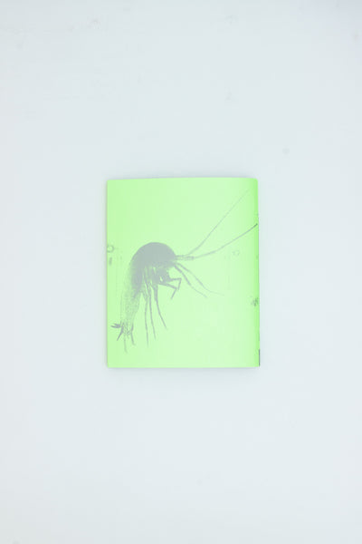 Lost Jockey - Tonje Li