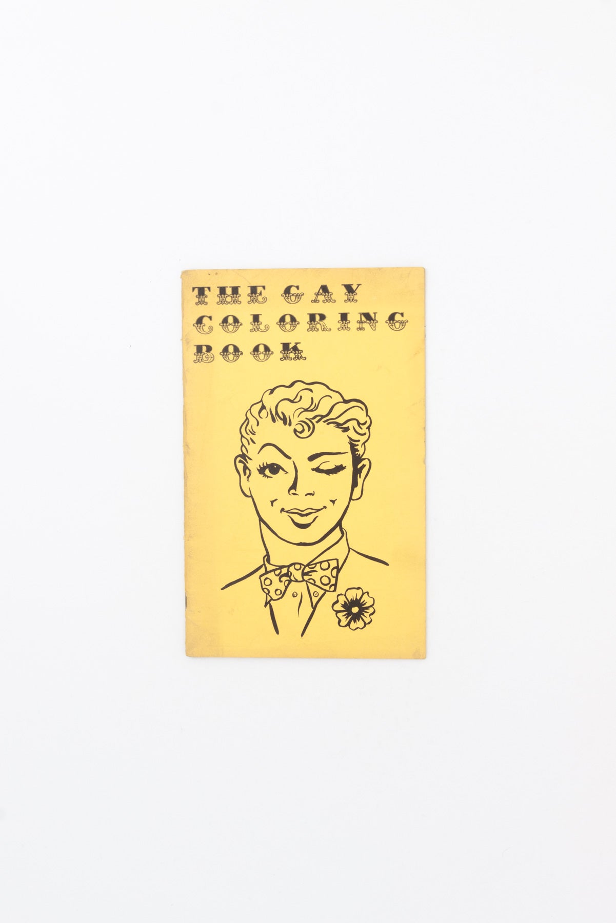 The Gay Coloring Book - George Haimsohn