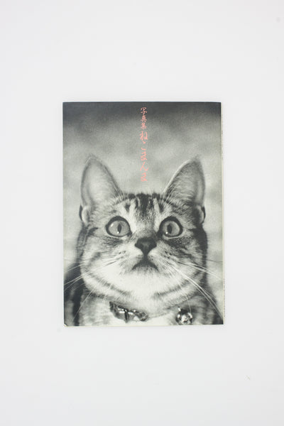 Neko manma 'The Cat is Beautiful' Photobook