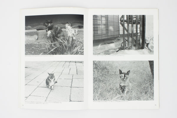 Neko manma 'The Cat is Beautiful' Photobook