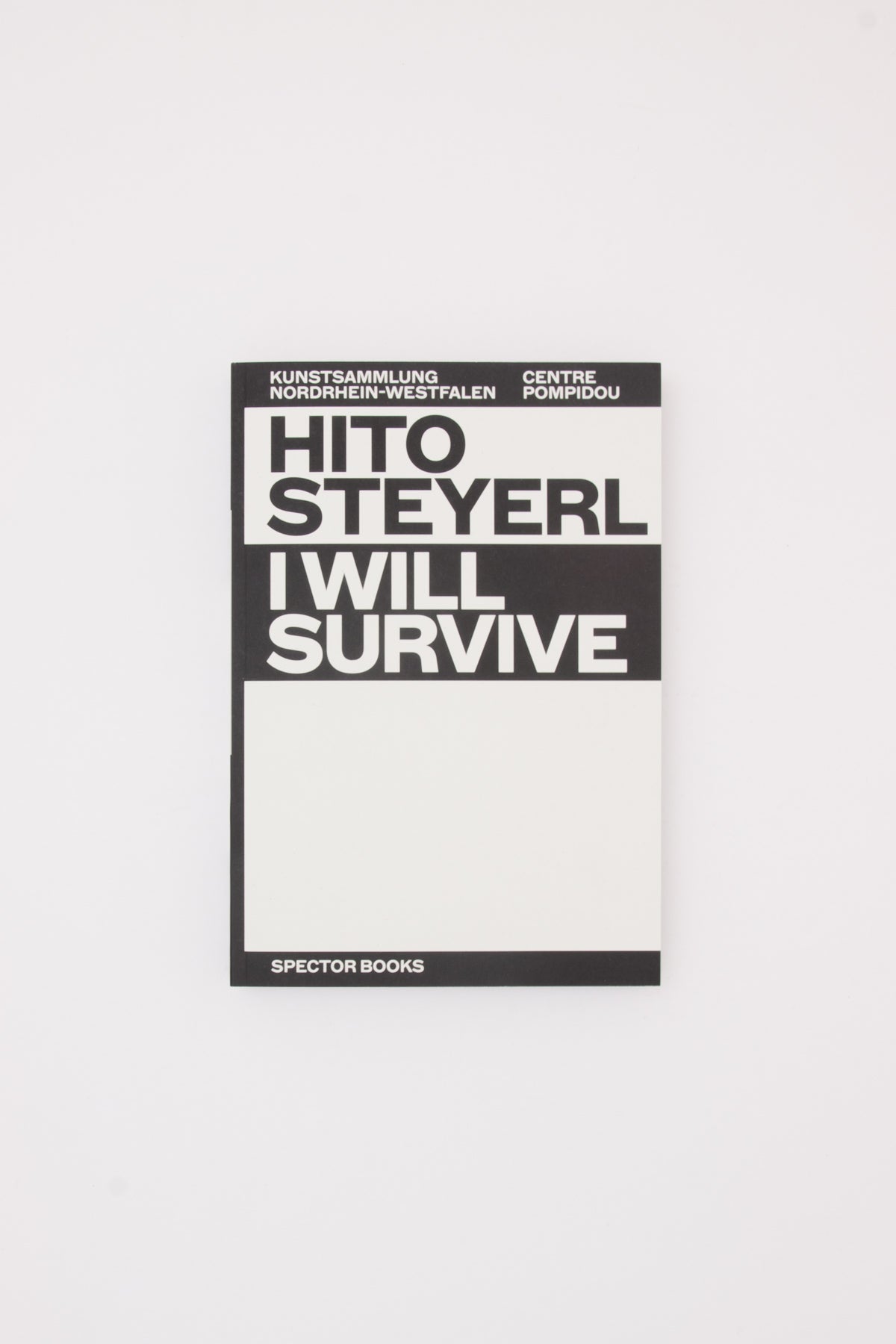 I Will Survive - Hito Steyerl