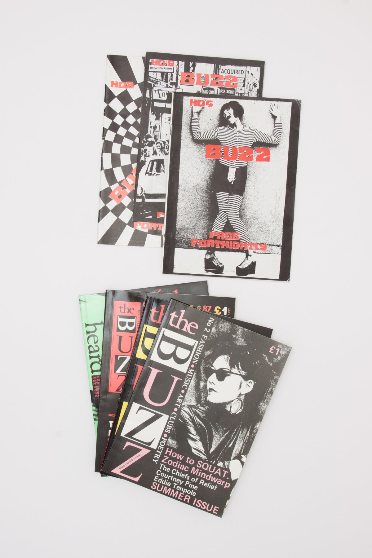 Nine Issues of The BUZZ Magazine