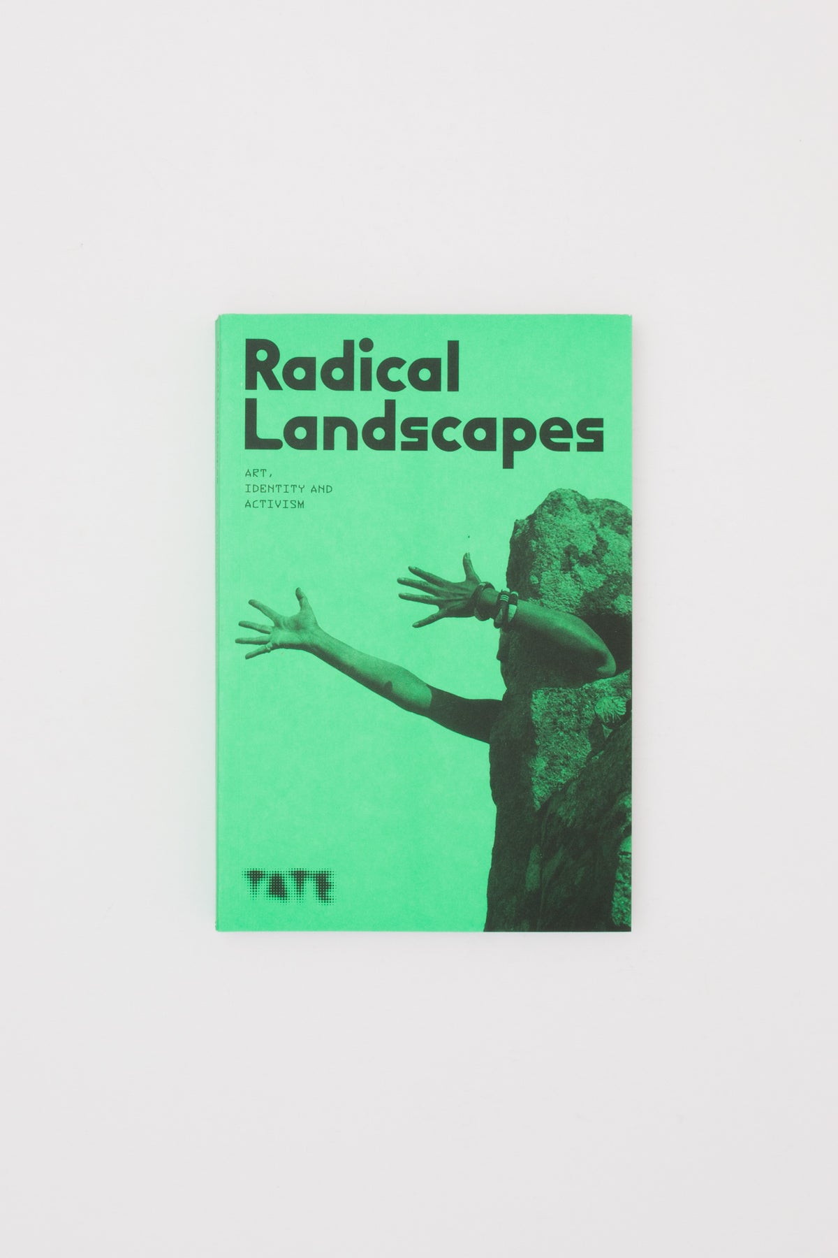 Radical Landscapes: Art, Identity and Activism - Darren Pih