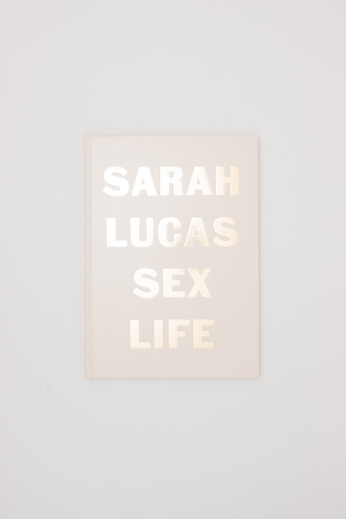 SEX LIFE - Sarah Lucas
