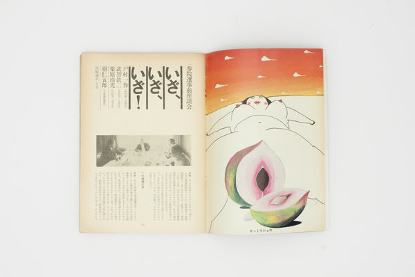 [12 Issues of Hanashi no Tokushu Magazine with cover artwork by Tadanori Yokoo]