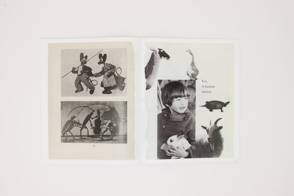 Arrangements - Carmen Winant