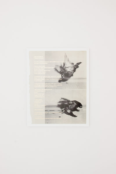Arrangements - Carmen Winant